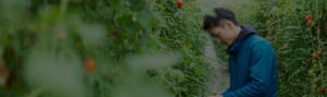 training-banner-image-food-safety-training-man-looking-at-crops